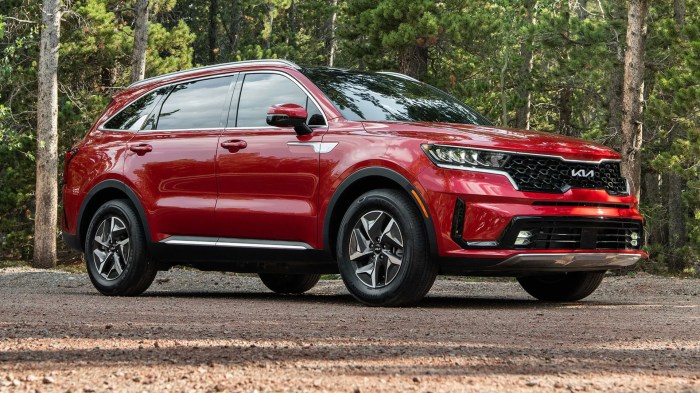 Kia sorento 2024
