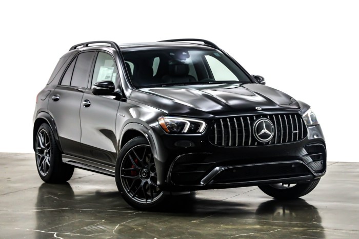 Gle amg