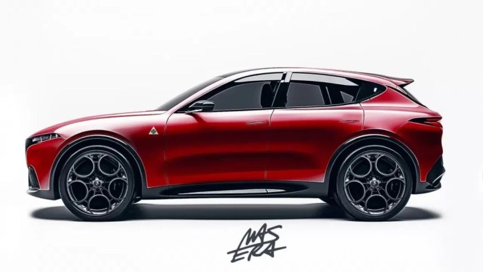 Stelvio alfa