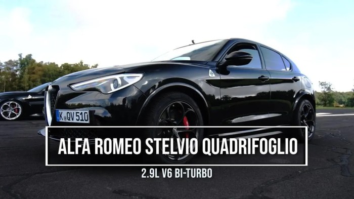 Alfa romeo stelvio