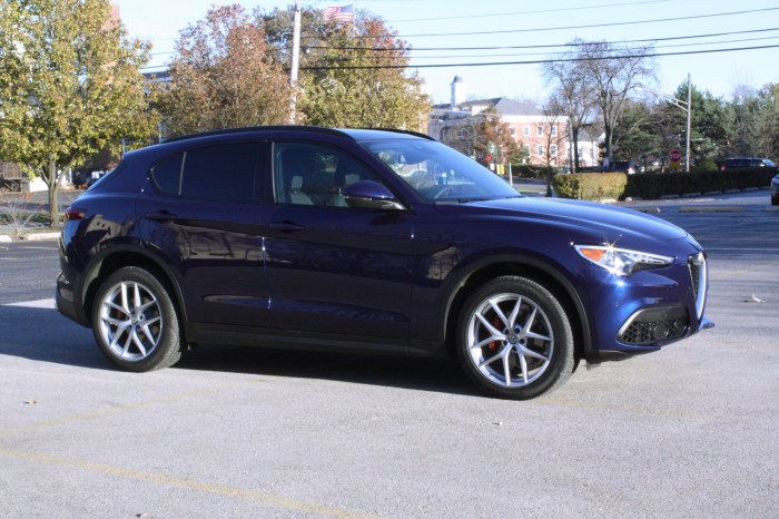 Stelvio alfa